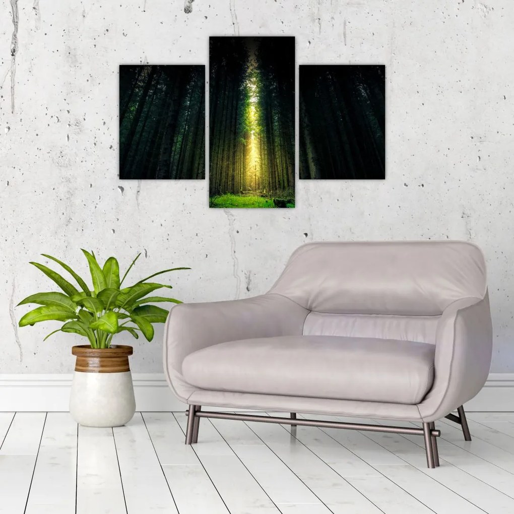 Tablou cu pădurea întunecată (90x60 cm)