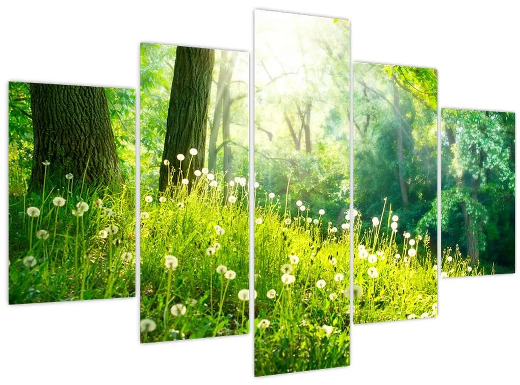 Tablou - Pajiște magică plină de păpădii (150x105 cm)