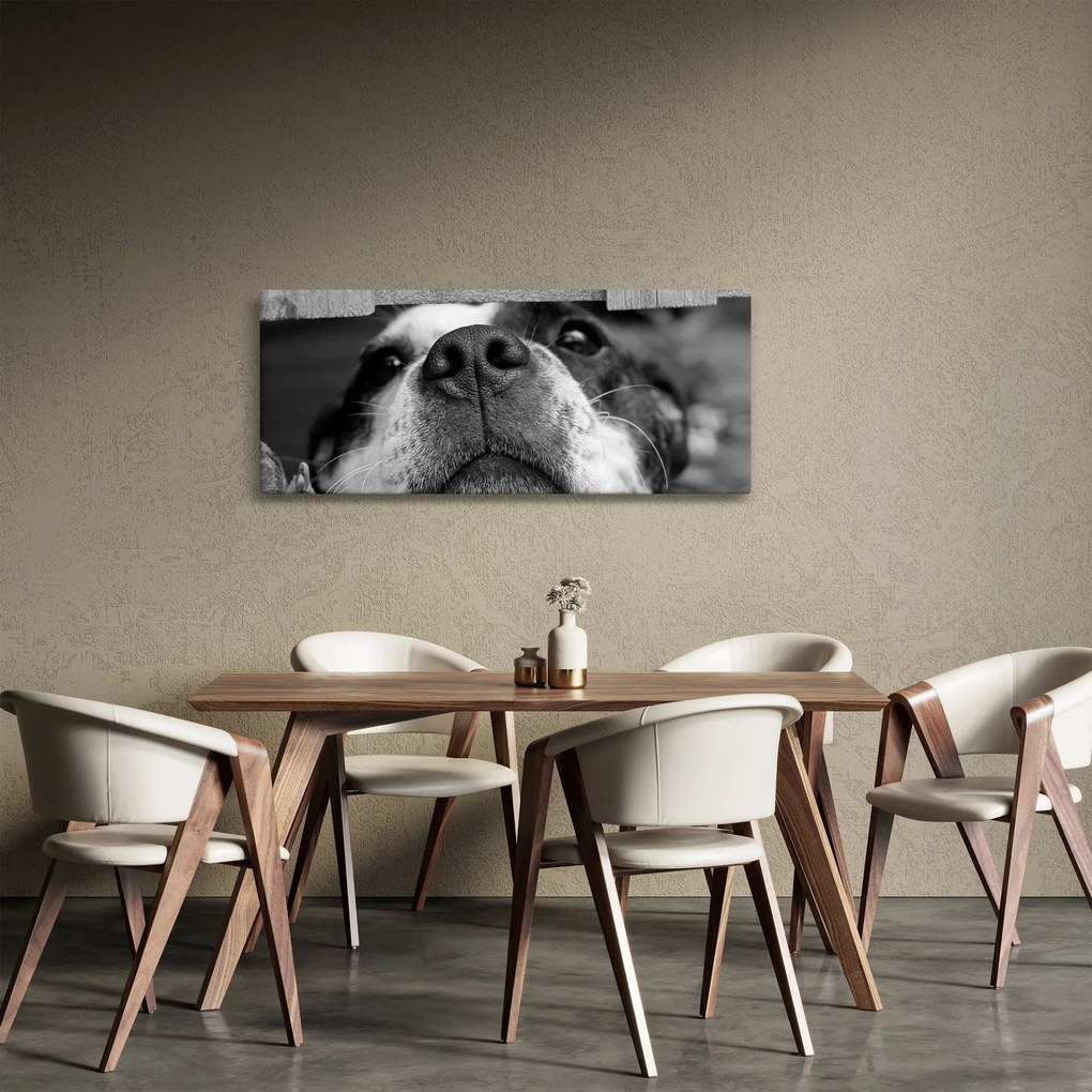 Tablou cu câine (120x50 cm)