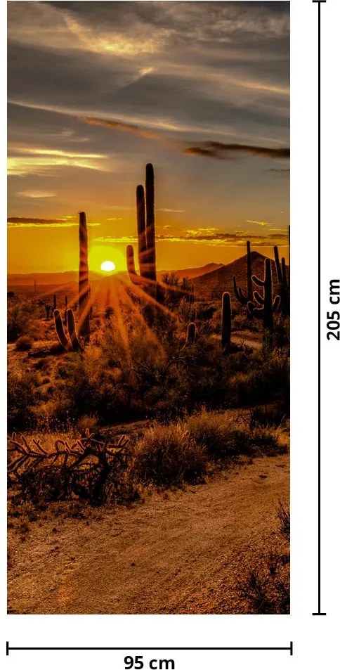 Fototapet pentru ușă - Sfârșitul zilei în deșertul Arizona (95x205cm)