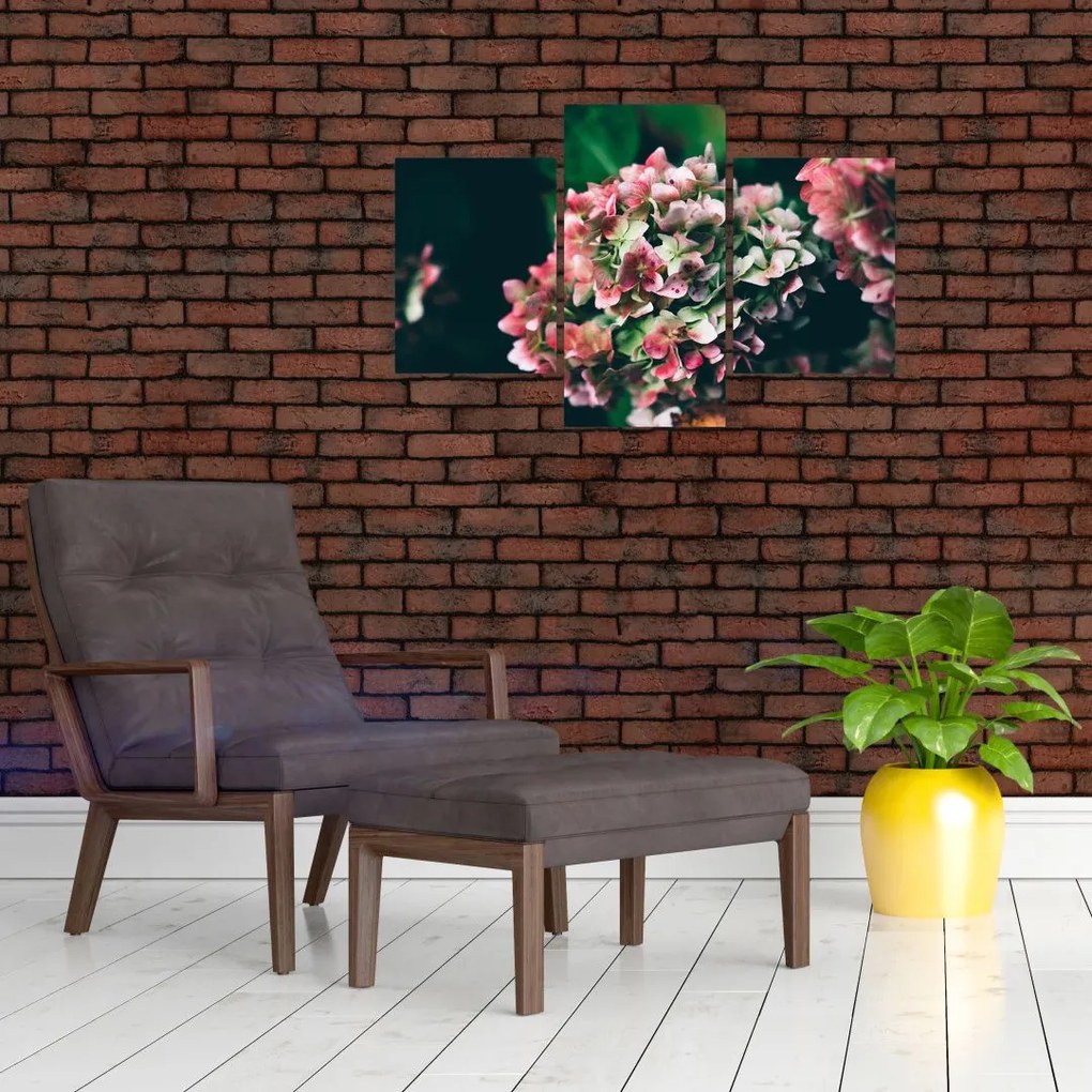 Tablou - Hortensie (90x60 cm)