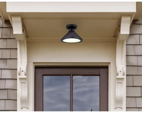 Plafonieră de exterior Westinghouse 61238 WALTER 1xE27/60W/230V IP44