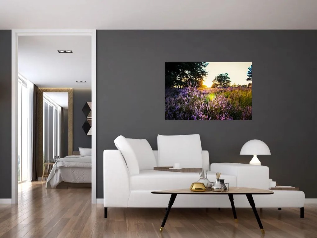 Tablou - Câmp cu lavandă (90x60 cm)