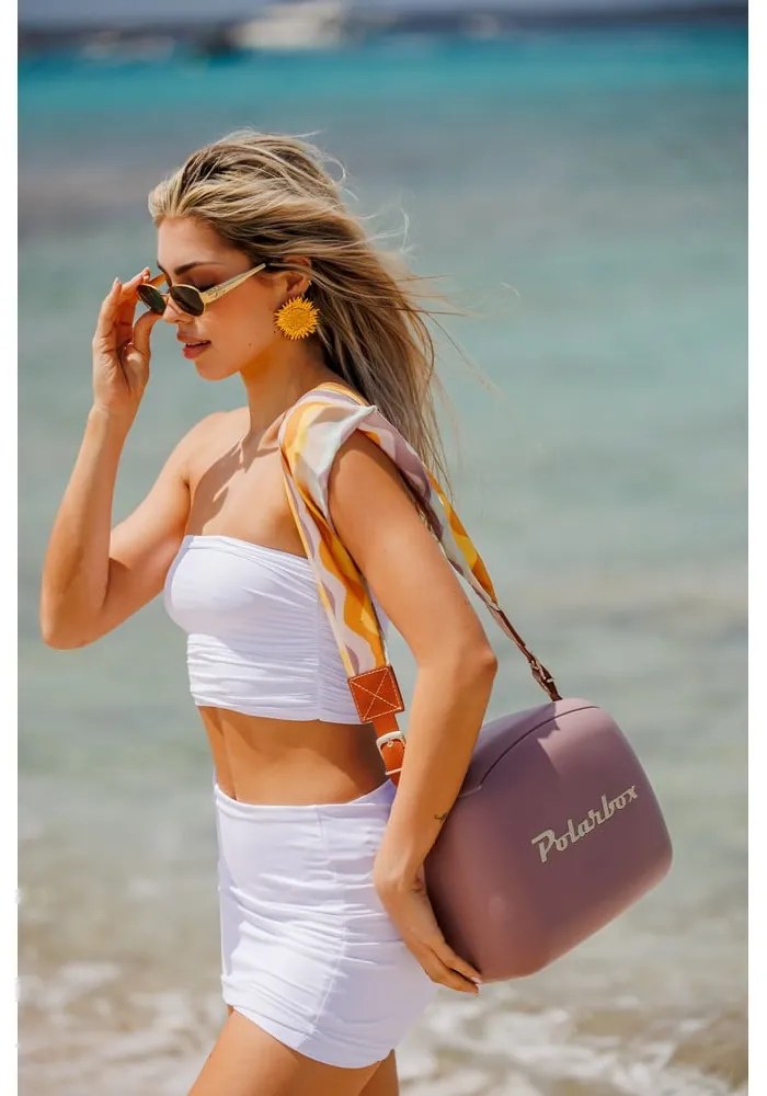 Cutie termoizolantă maro 6 l Classic Gold – Polarbox