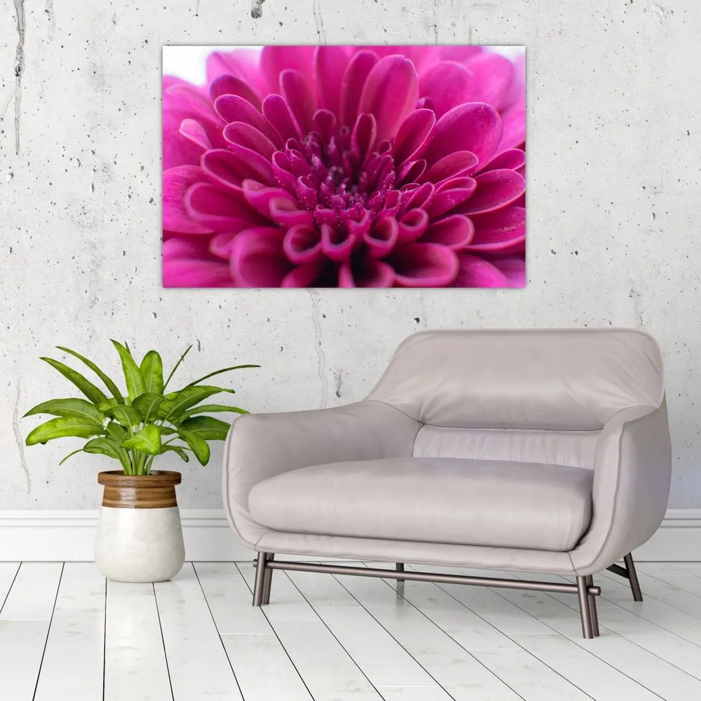Tablou cu floare (90x60 cm)