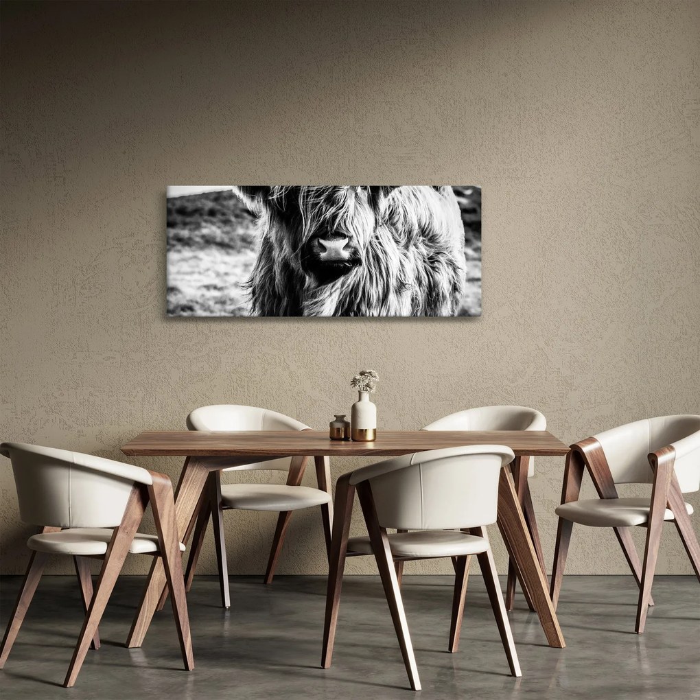 Tablou - Highland - vacă scoțiană (120x50 cm)
