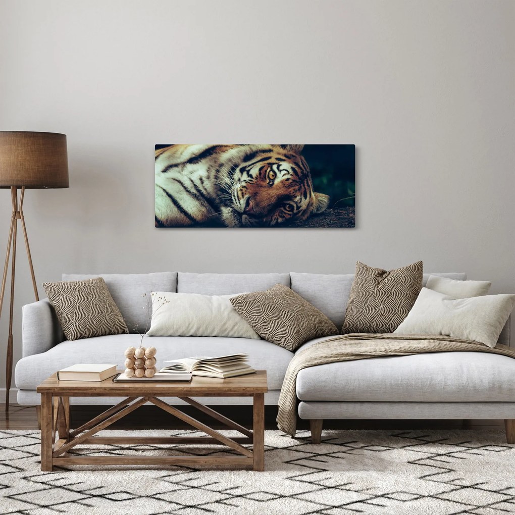 Tablou - Tigrul Siberian (120x50 cm)