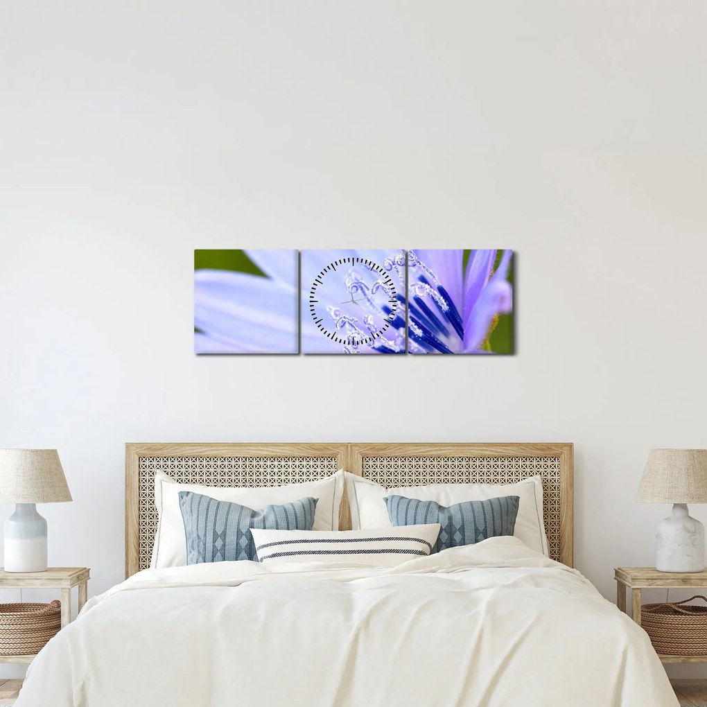 Tablou - Floare (cu ceas) (90x30 cm)