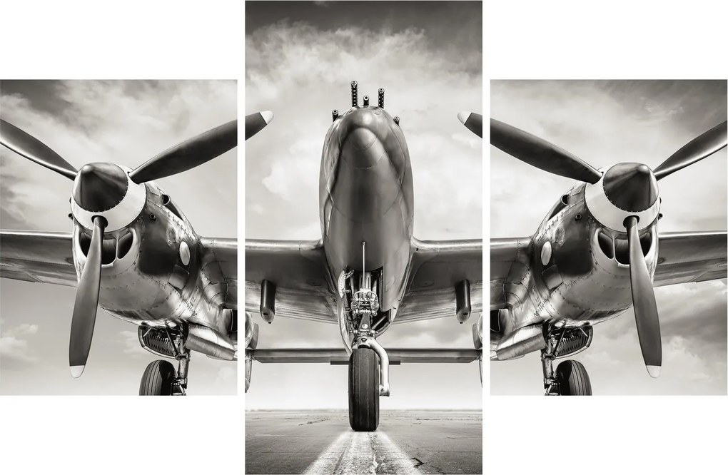 Tablou - Warbird (90x60 cm)