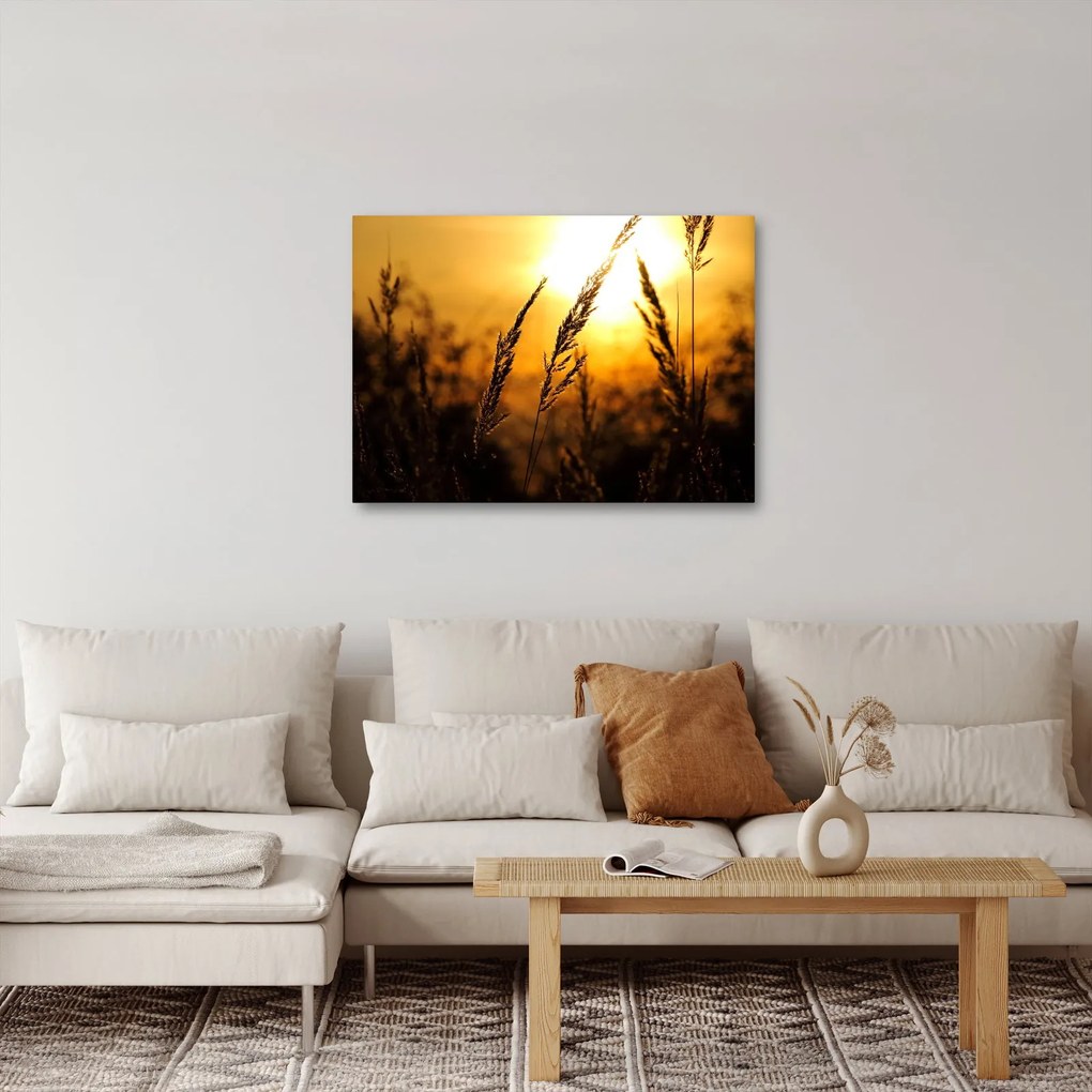 Tablou - Apus de soare (70x50 cm)