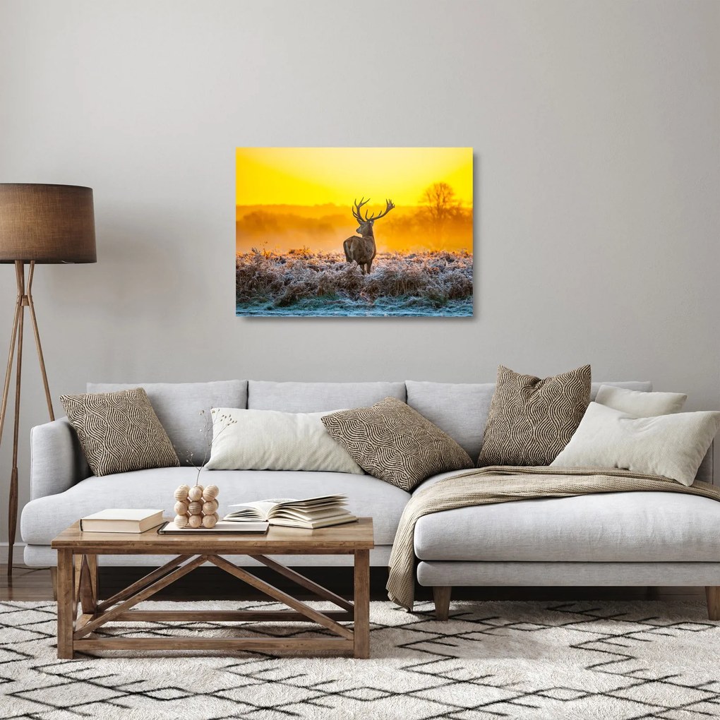 Tablou pe sticlă - Cerb la răsăritul soarelui (70x50 cm)