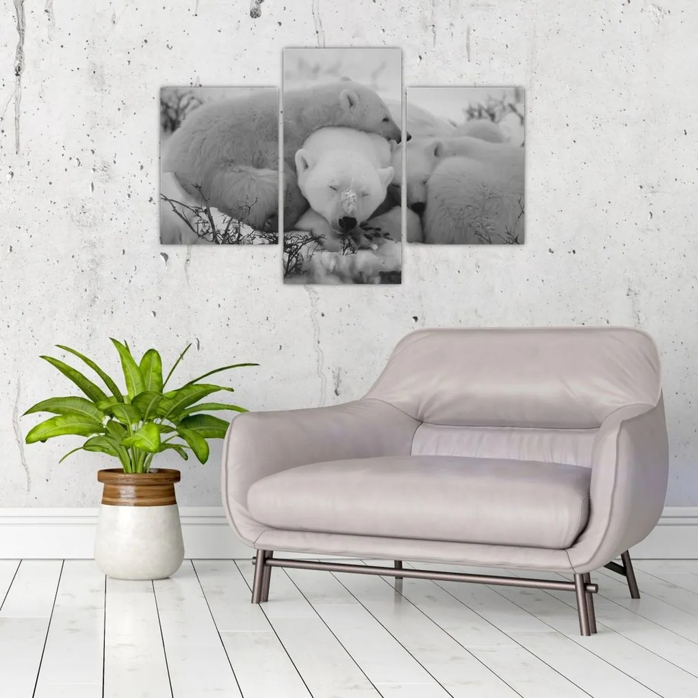 Tablou - Urși polari, alb-negru (90x60 cm)