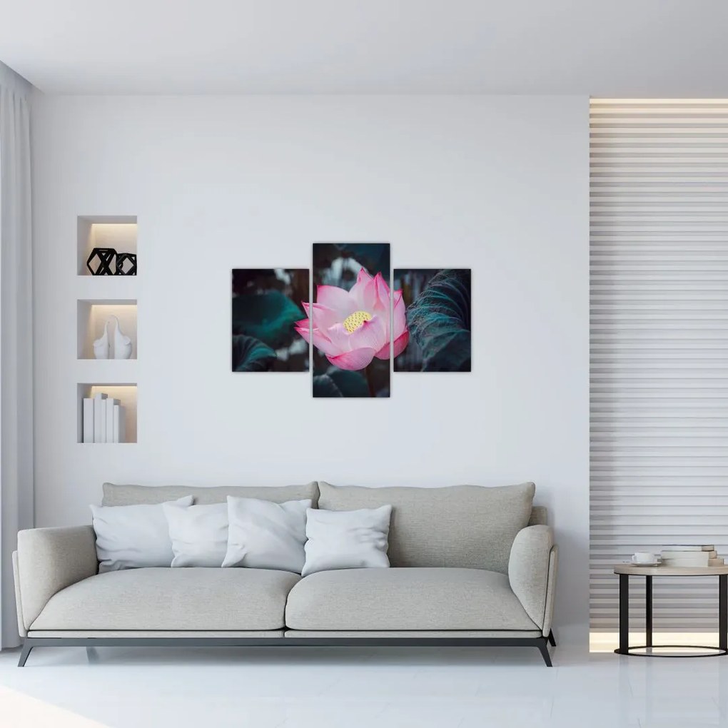 Tablou cu floare roz (90x60 cm)