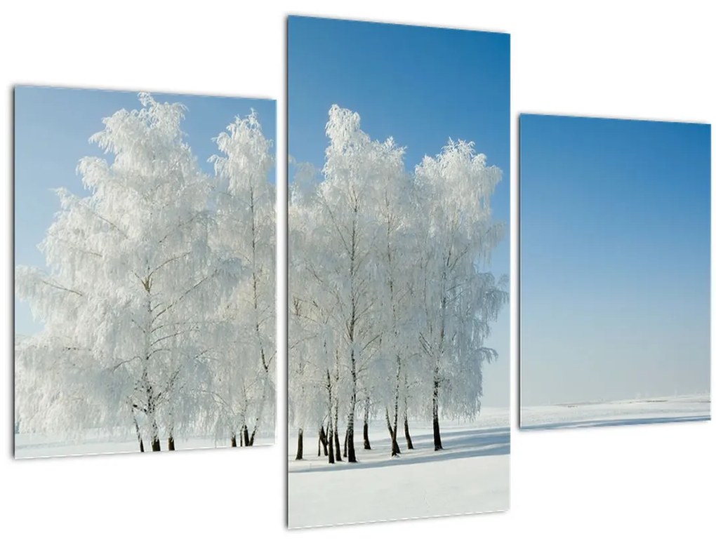 Tablou - Peisaj înzăpezit (90x60 cm)