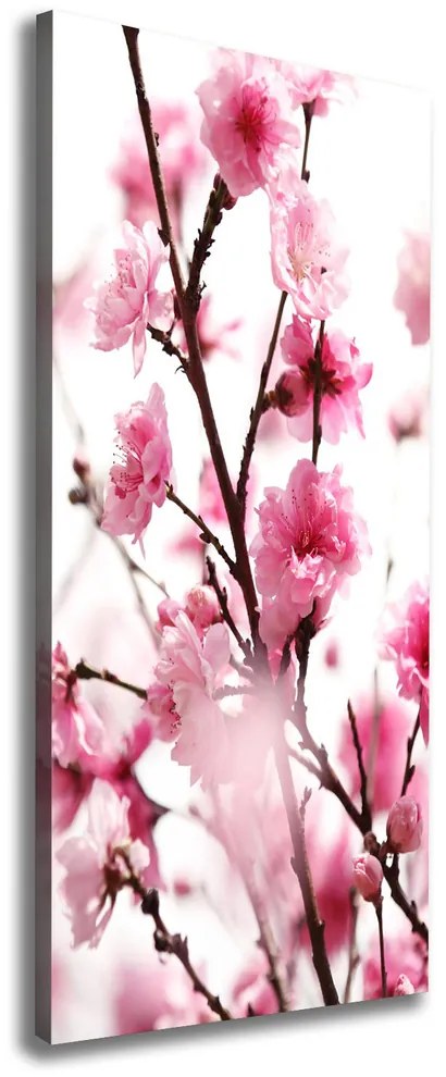 Tablou pe pânză canvas Flori prune
