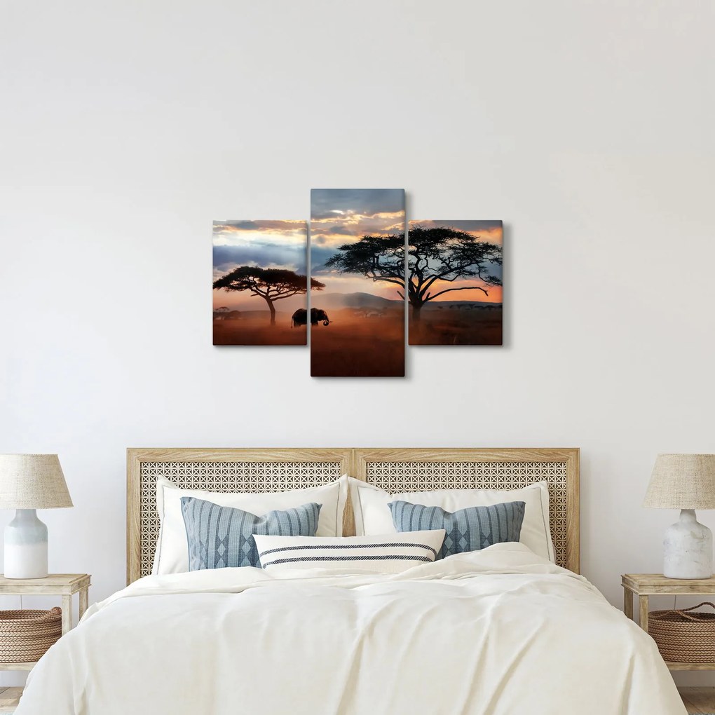 Tablou - Parcul Național Serengeti, Tanzania, Africa (90x60 cm)