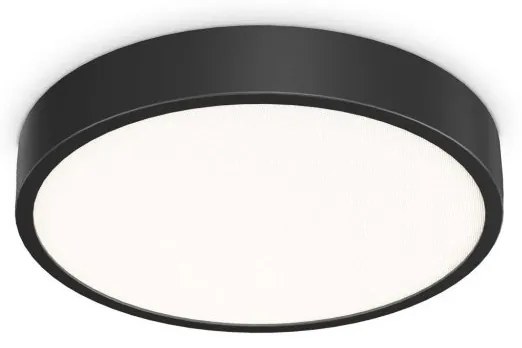 Plafoniera LED pentru baie IP44 Ray pl d40 negru