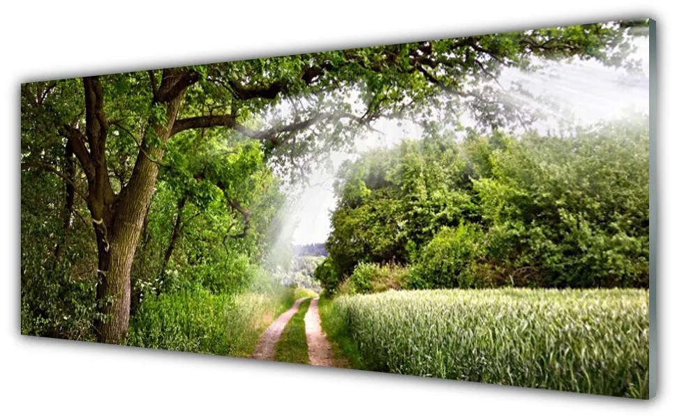 Tablouri acrilice Copaci Potecă Natura Brun Verde