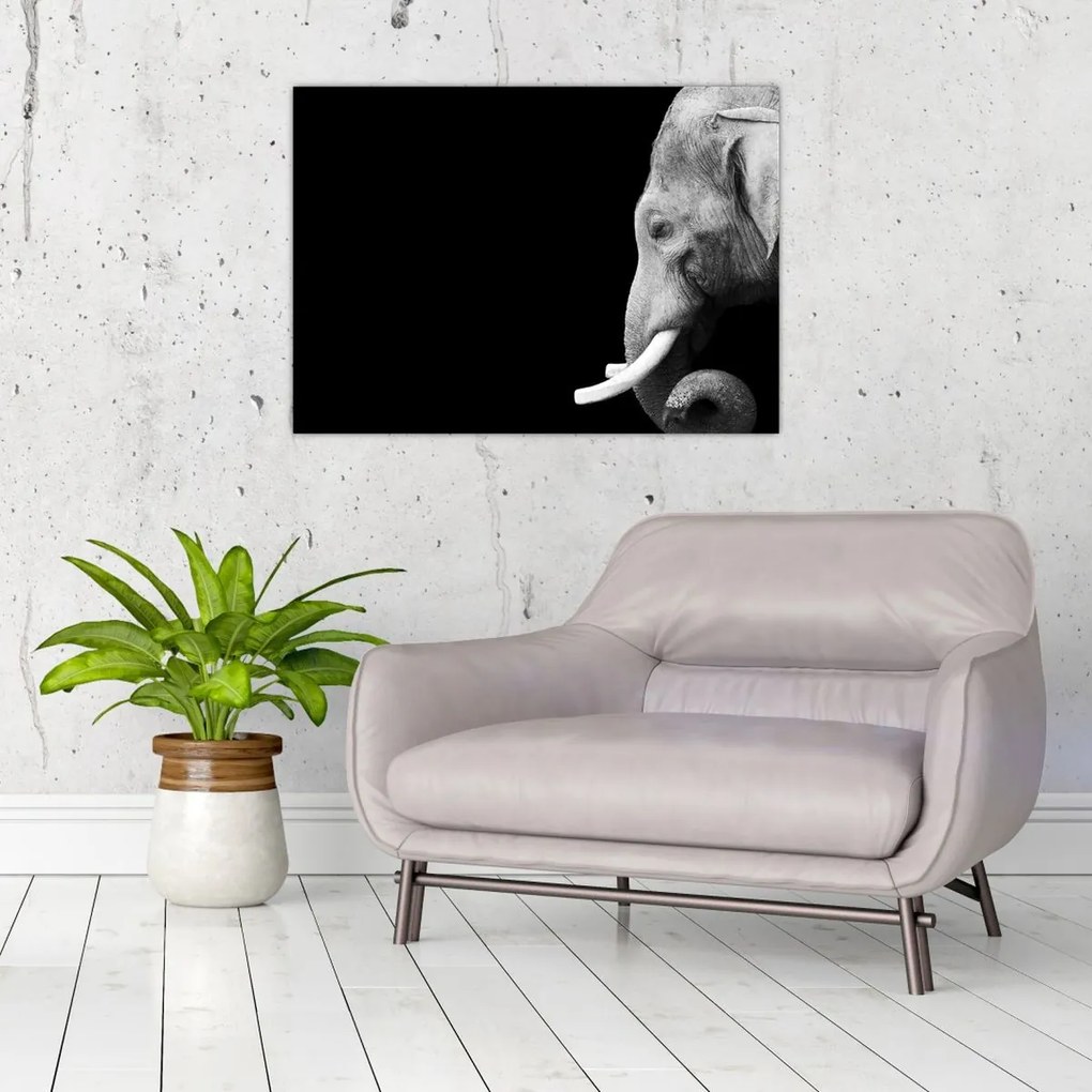 Tablou - Elefant (70x50 cm)