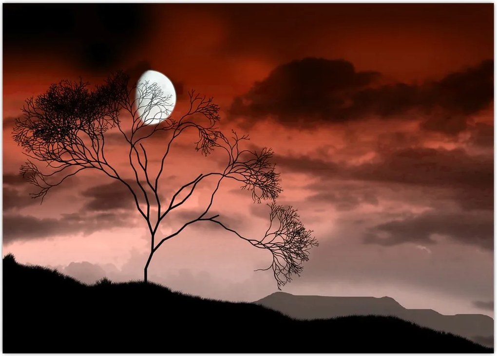 Tablou - Luna luminează noaptea (70x50 cm)