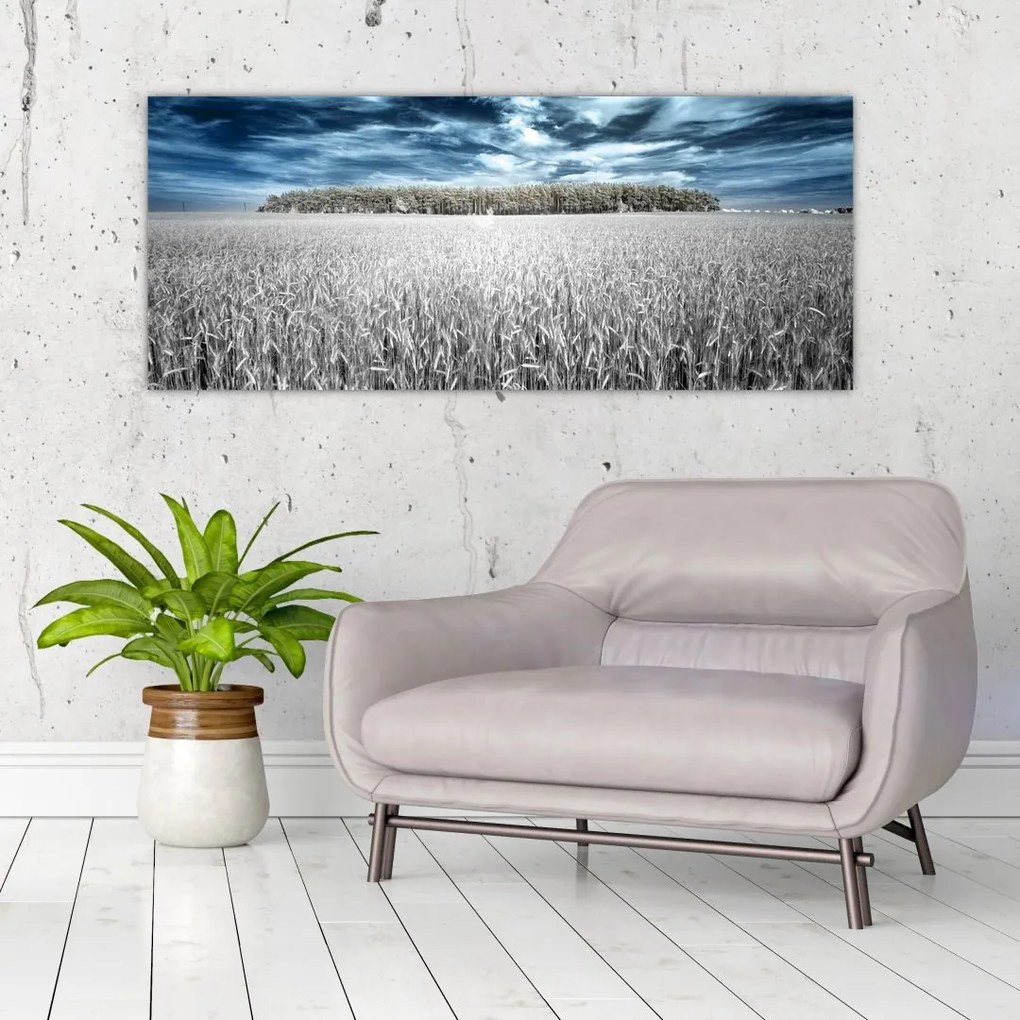 Tablou cu câmp (120x50 cm)