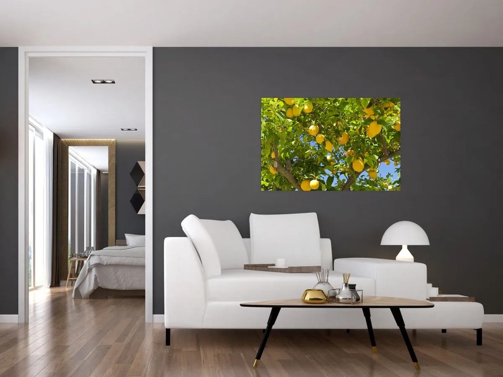 Tablou - Lămâiță (90x60 cm)