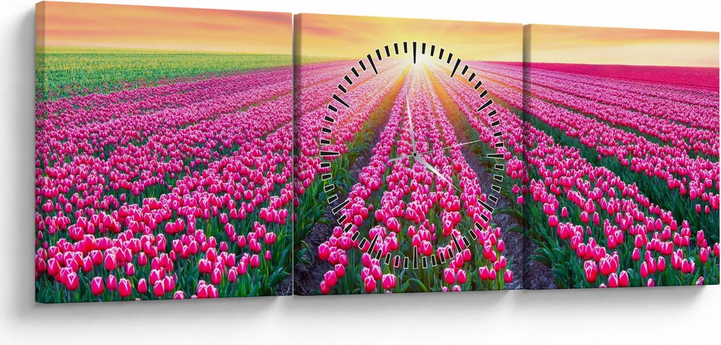 Tablou cu câmp de lalele cu soare (cu ceas) (90x30 cm)