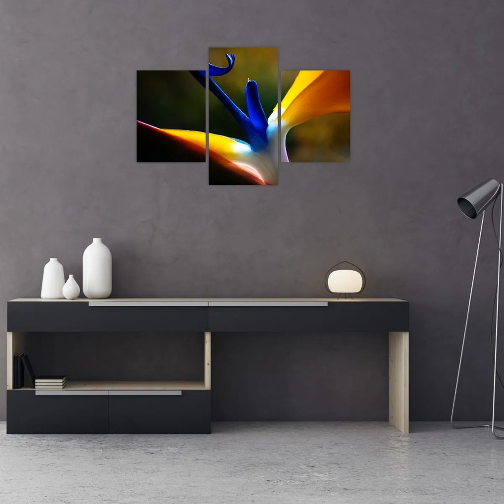 Tablou - Floare exotică (90x60 cm)