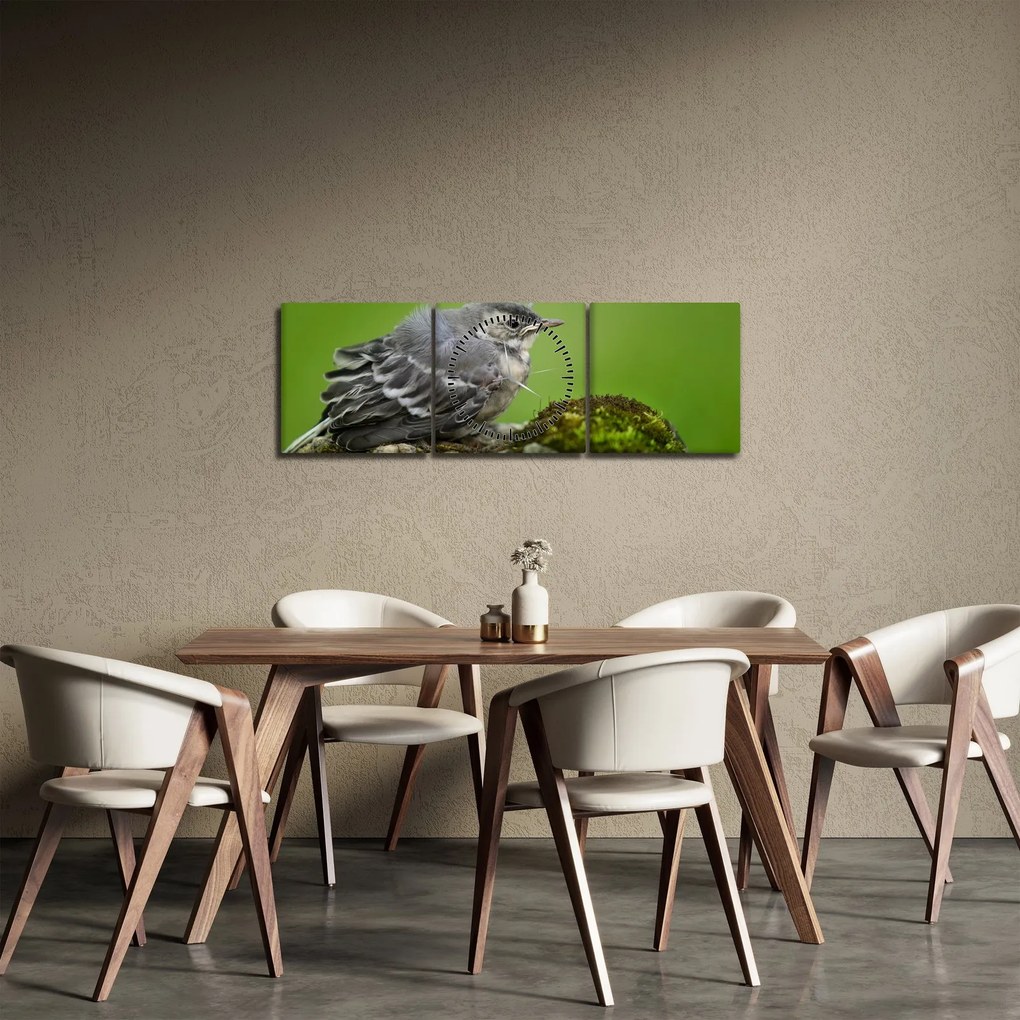 Tablou - Muscarul (cu ceas) (90x30 cm)