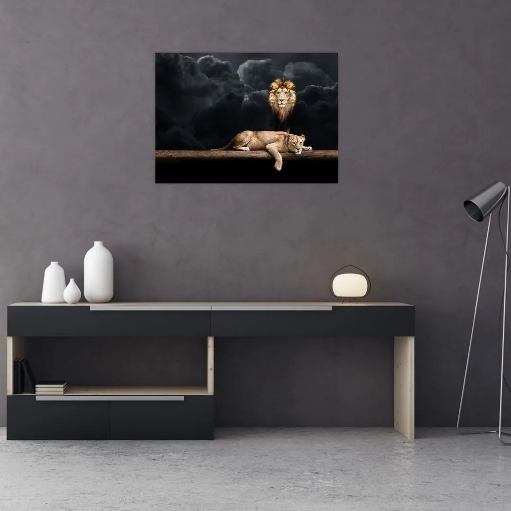 Tablou pe sticlă - Leu și leoaică (70x50 cm)