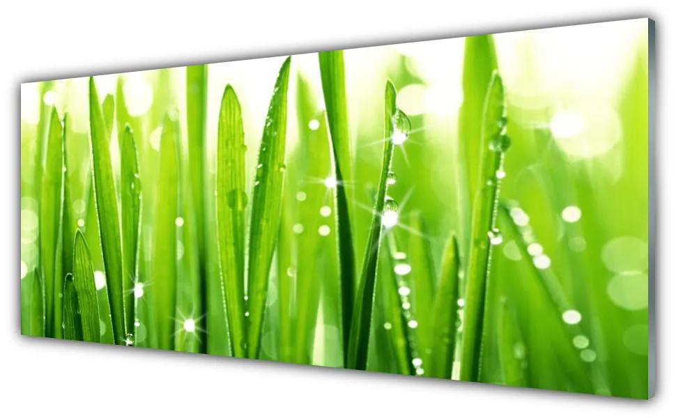 Tablou pe sticla Iarbă verde florale