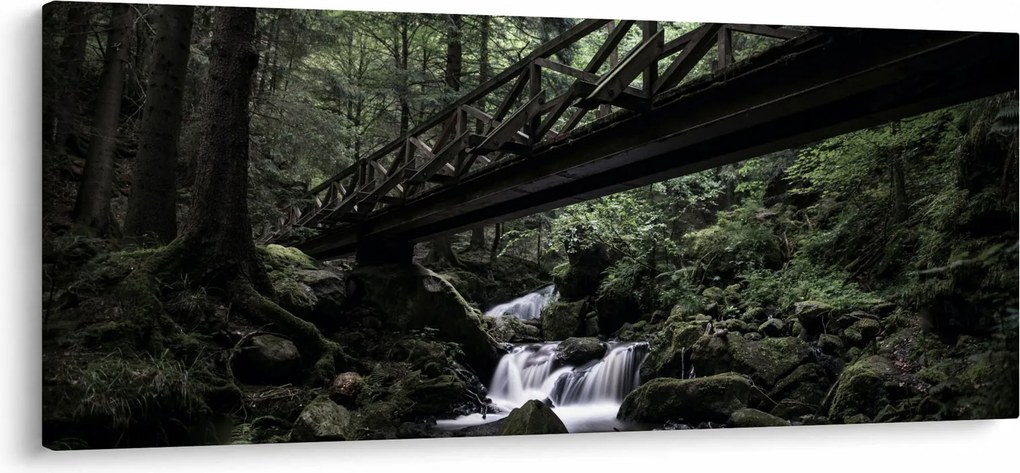 Tablou din pădurea neagră (120x50 cm)