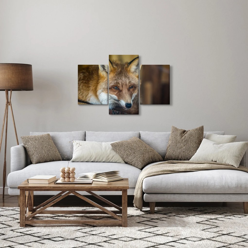 Tablou cu vulpe (90x60 cm)