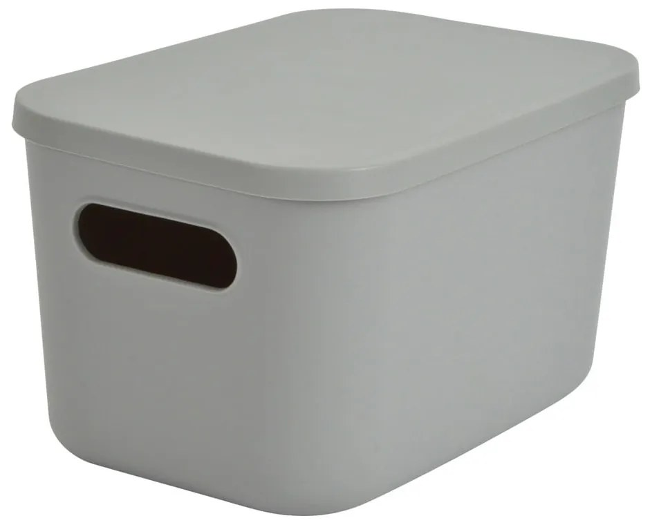 Cutie de depozitare gri din plastic cu capac 24,5x18x15 cm – Homéa