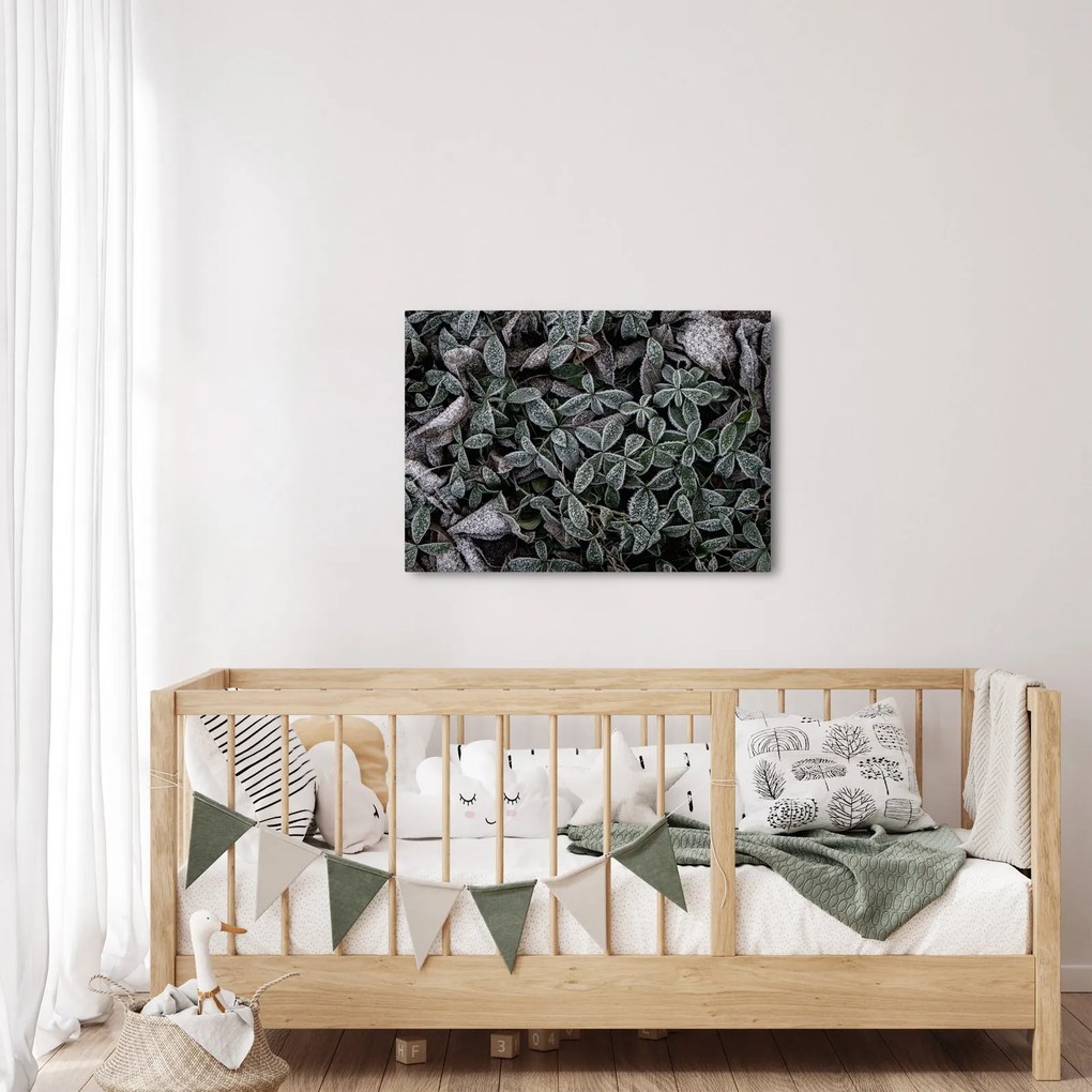 Tablou - Plante înghețate (70x50 cm)