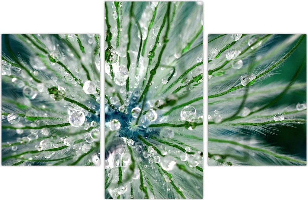 Tablou - Imagine macro a unei flori (90x60 cm)