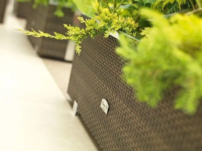 Ghiveci de rattan Novara antracit 35x35x60