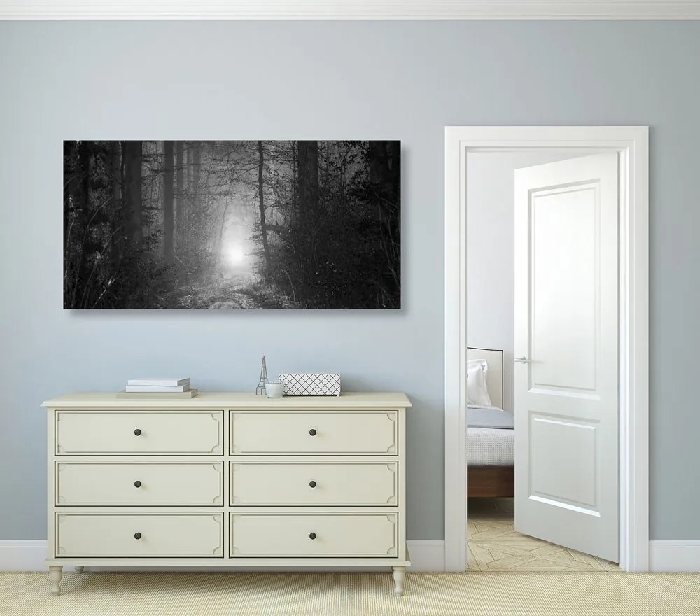 Tablou lumina în pădure în design alb-negru