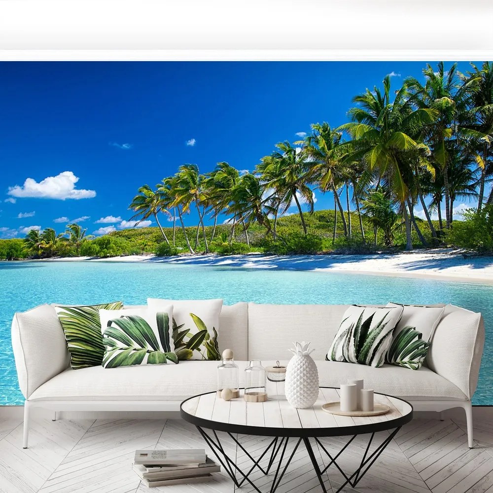 Fototapet Palm Beach Copaci