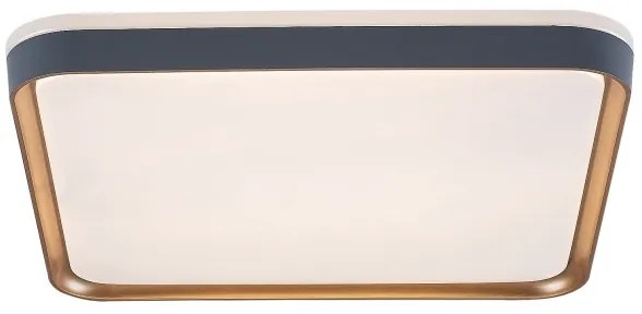 Rabalux 71029 - Plafonieră LED LIATRIS, 26W, 230V, 3000K