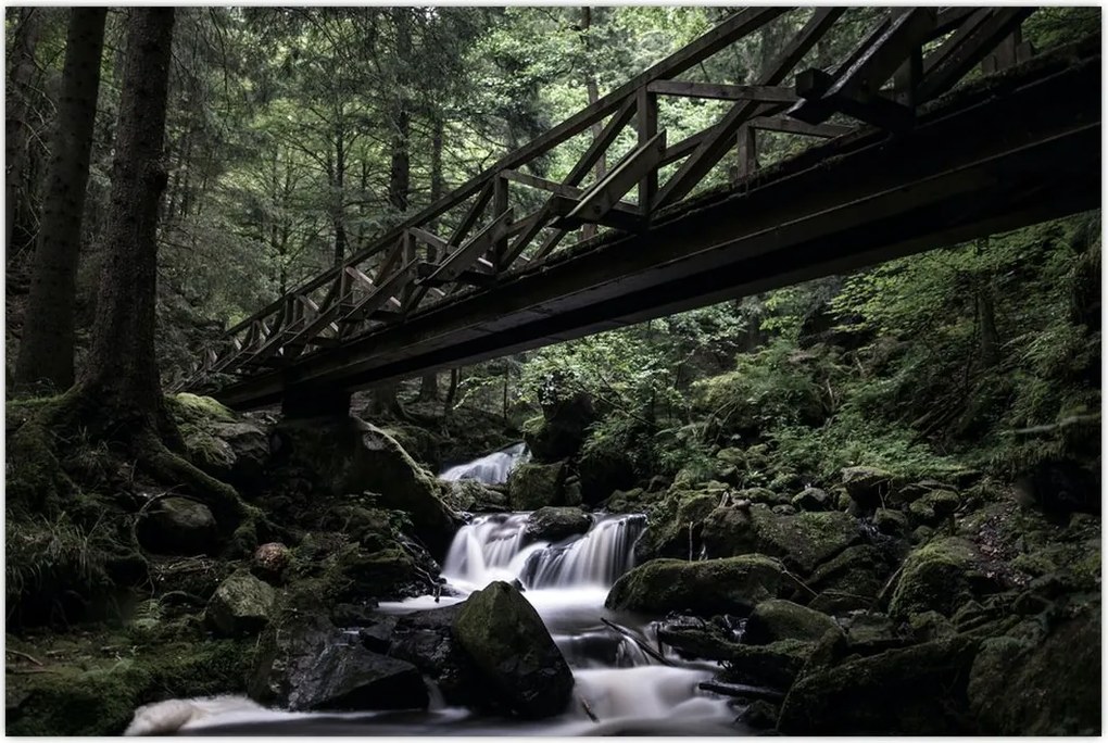 Tablou din pădurea neagră (90x60 cm)