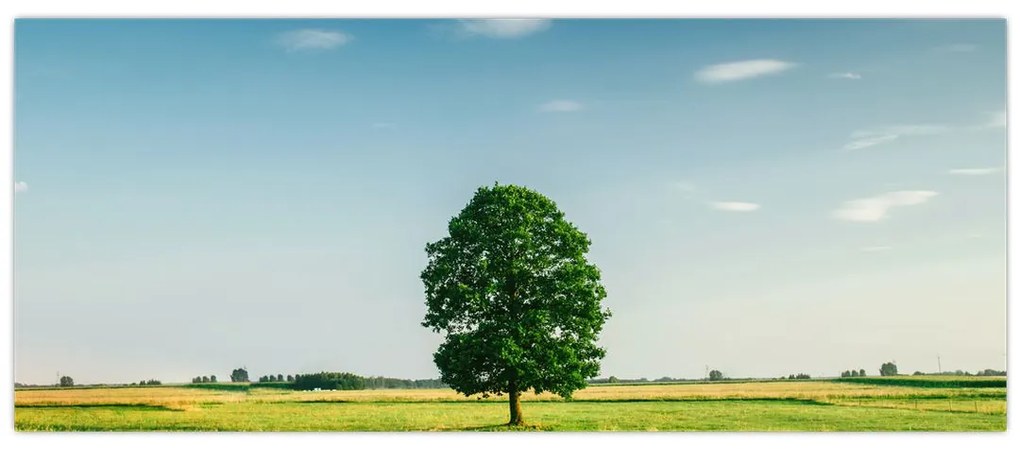 Tablou cu copaci pe luncă (120x50 cm)
