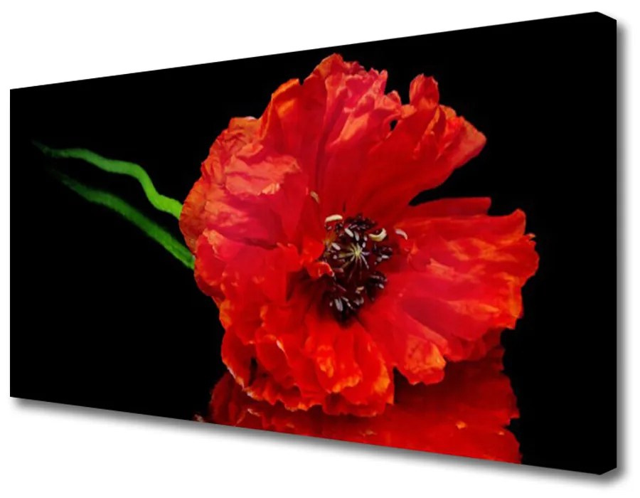Tablou pe panza canvas Florale flori Roșu