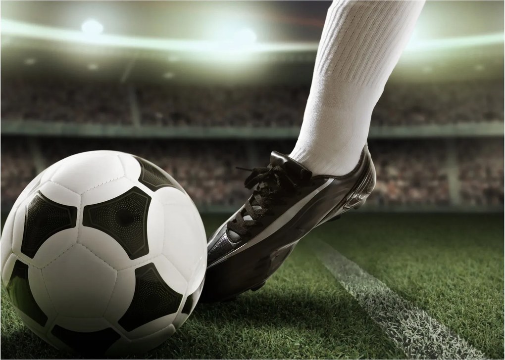 Tablou - Minge de fotbal (70x50 cm)