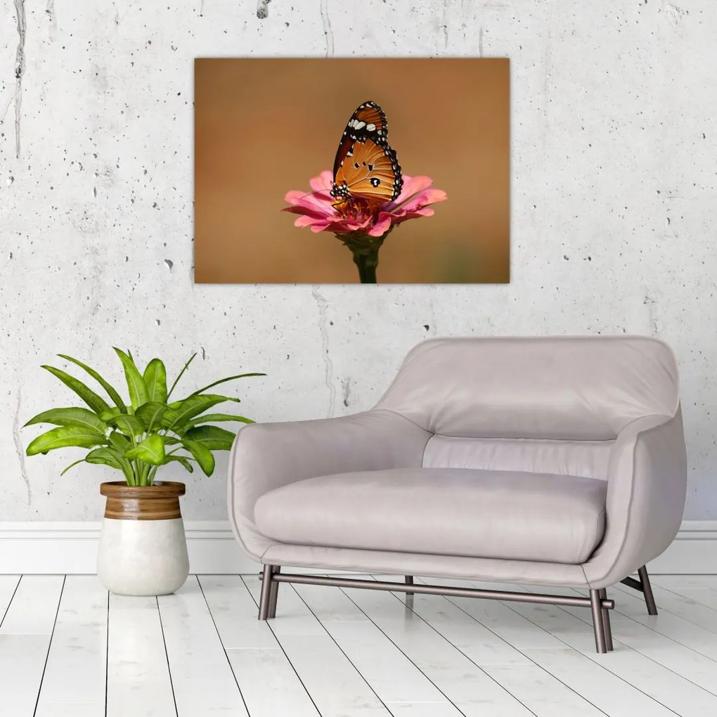 Tablou cu fluture pe floare (70x50 cm)