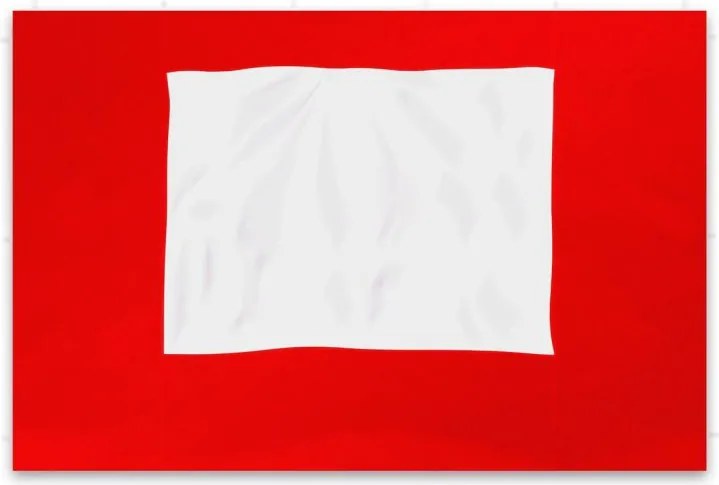 Set 2 pereți laterali pentru cort de grădină 3 x 3 m - rosu