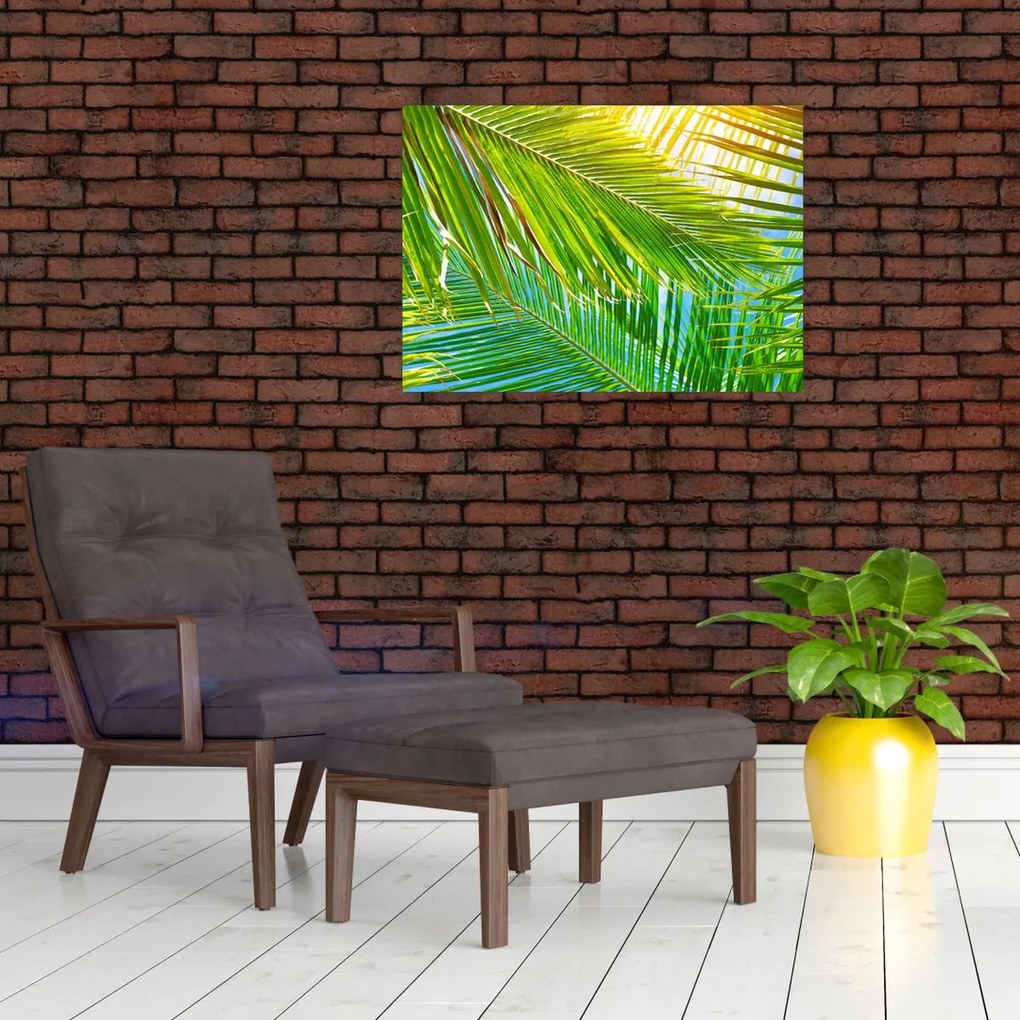 Tablou pe sticlă - Frunze de palmier (70x50 cm)