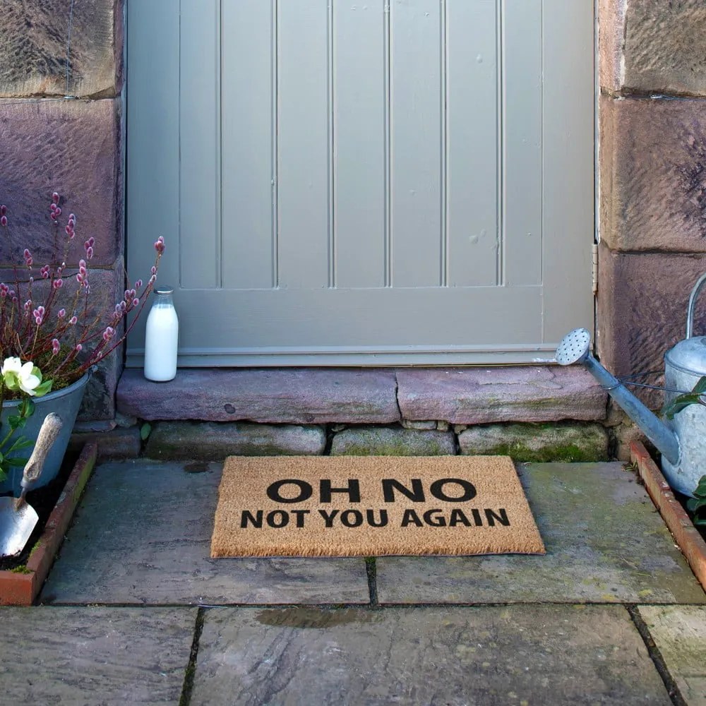 Covoraș de intrare din fibre de nucă de cocos 40x60 cm Not You Again – Artsy Doormats