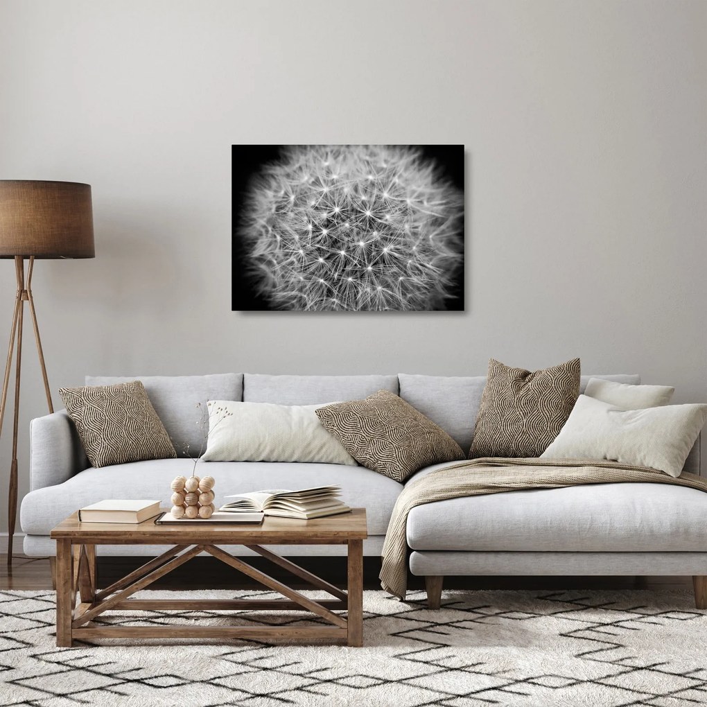Tablou pe sticlă păpădie gri (70x50 cm)