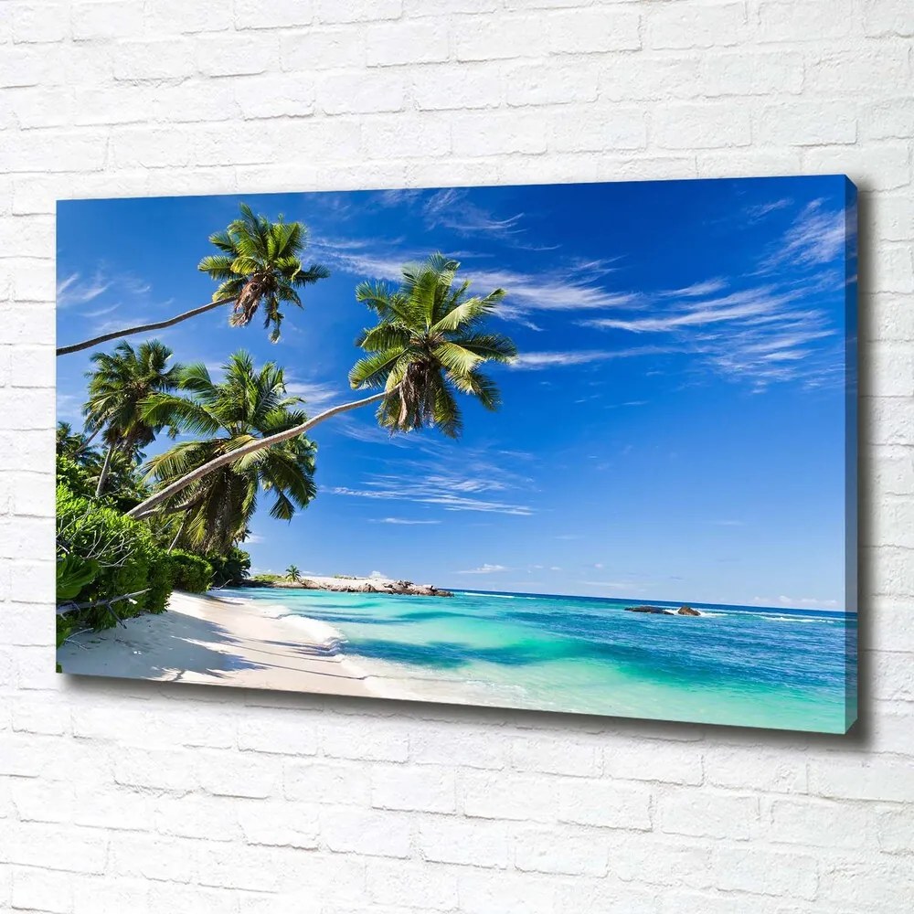 Tablou canvas Plaja tropicala